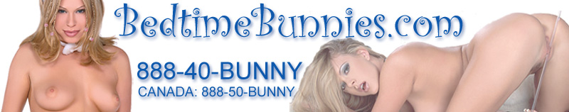 Bedtime Bunnies banner